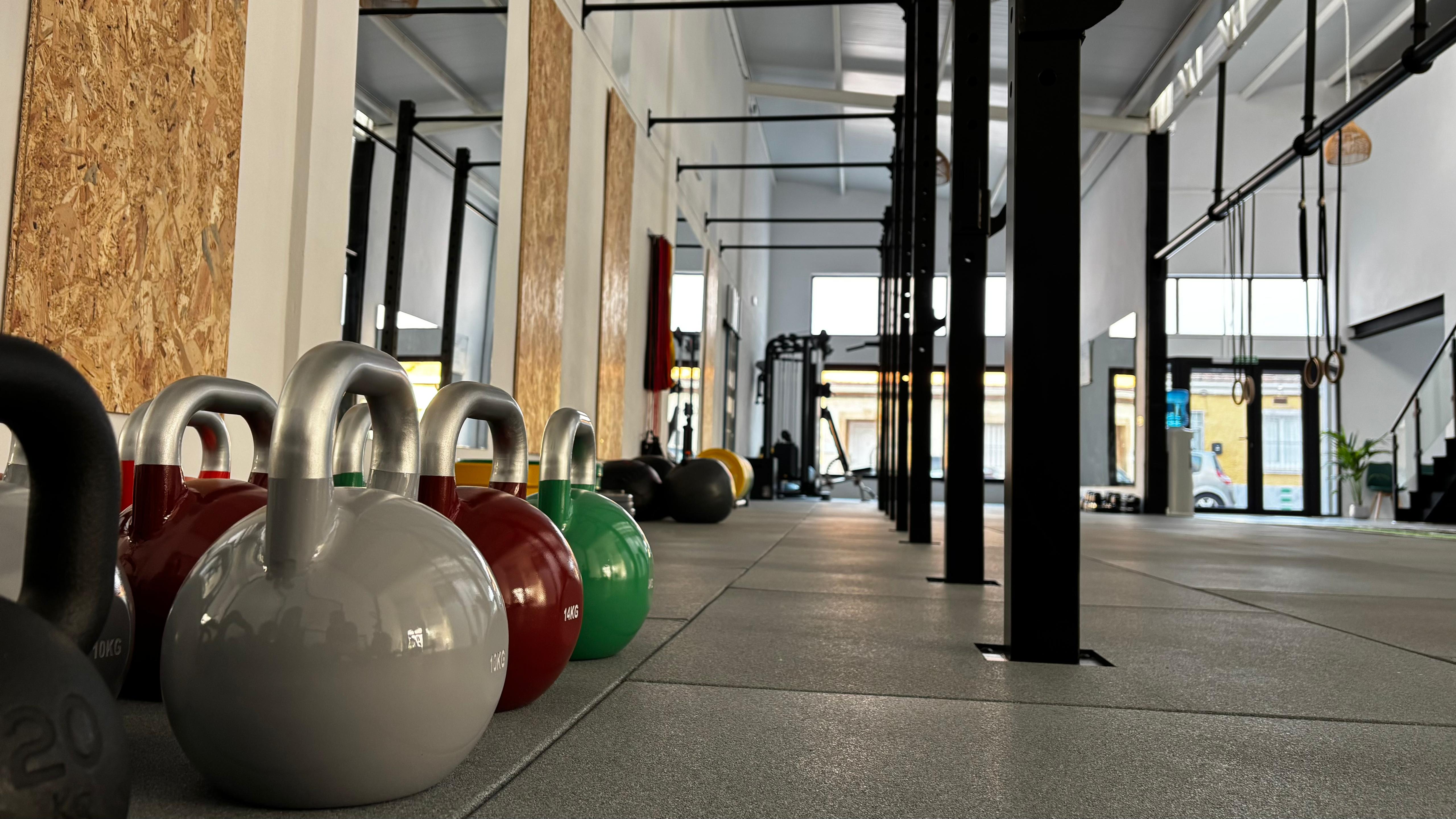 Deisa Wellness